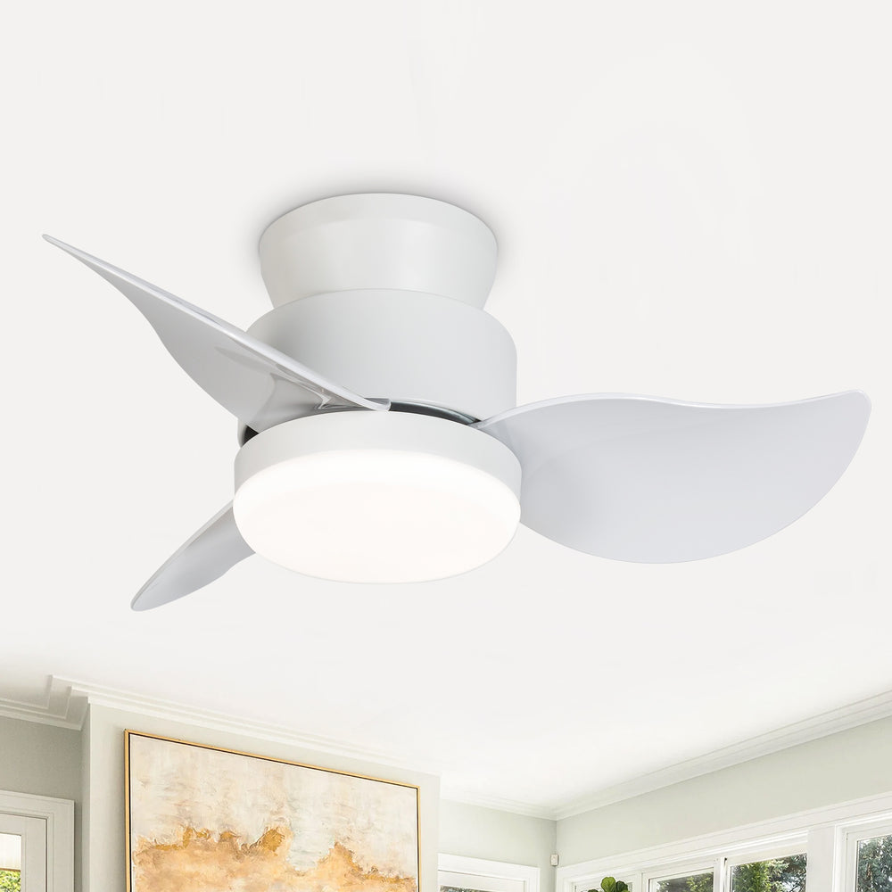 Galon 22-Inch Low Profile Small Ceiling Fan With Light & Remote