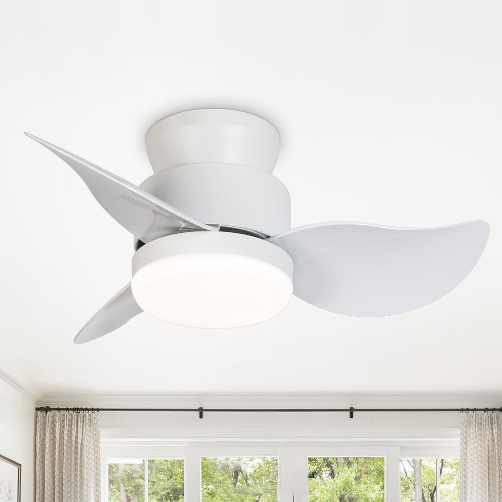 Galon 22-Inch Low Profile Small Ceiling Fan With Light & Remote