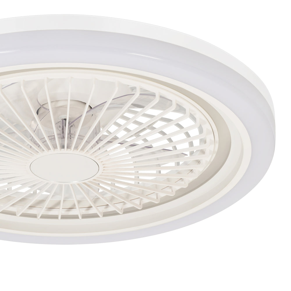 19-in Modern Smart RGB Flush Mount Ceiling Fan with Dimmable Light(5-Blade)