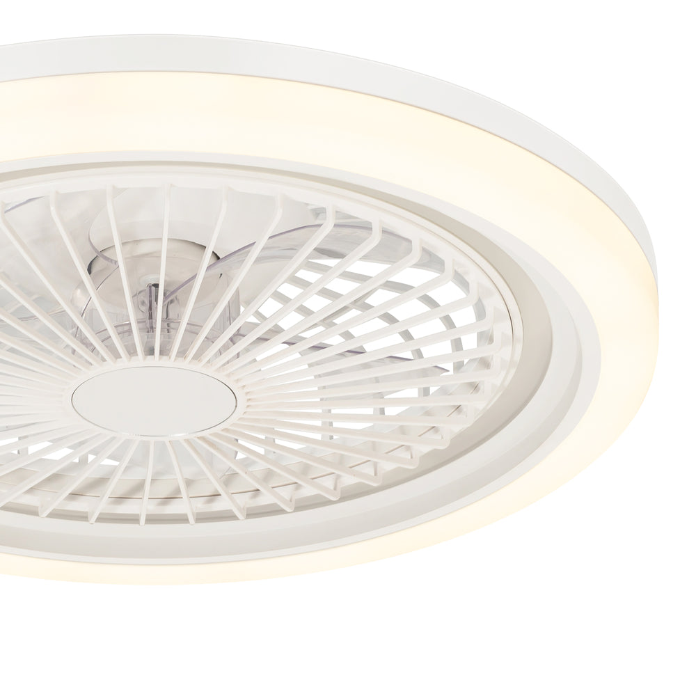 19-in Modern Smart RGB Flush Mount Ceiling Fan with Dimmable Light(5-Blade)