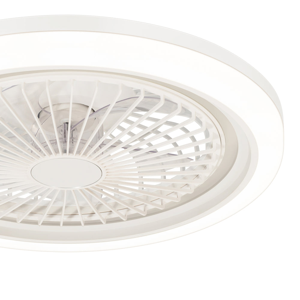19-in Modern Smart RGB Flush Mount Ceiling Fan with Dimmable Light(5-Blade)
