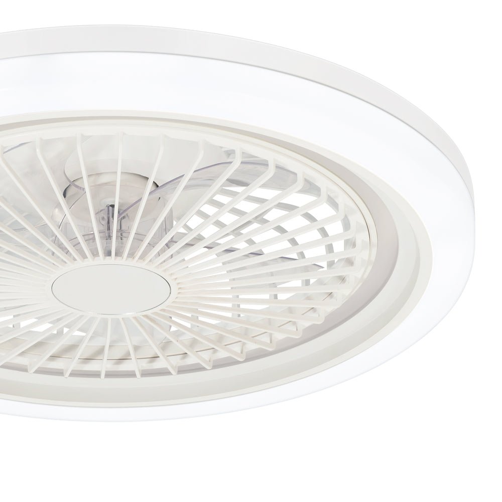19-in Modern Smart RGB Flush Mount Ceiling Fan with Dimmable Light(5-Blade)