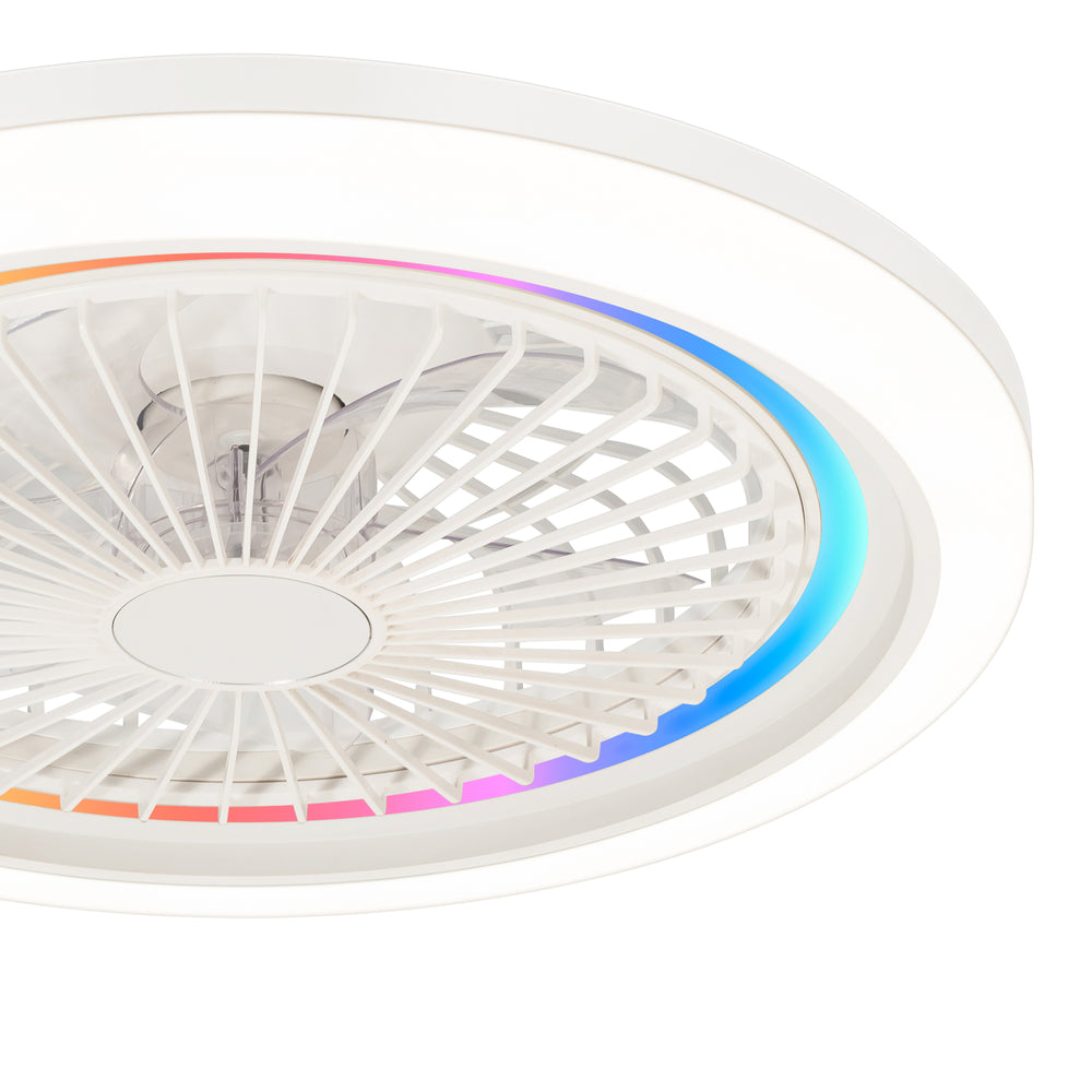 19-in Modern Smart RGB Flush Mount Ceiling Fan with Dimmable Light(5-Blade)