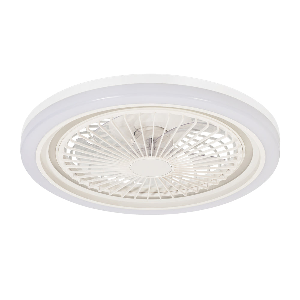 19-in Modern Smart RGB Flush Mount Ceiling Fan with Dimmable Light(5-Blade)