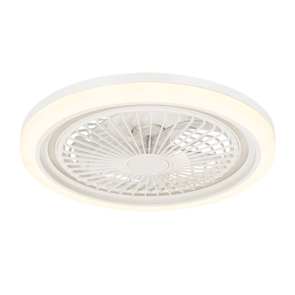 19-in Modern Smart RGB Flush Mount Ceiling Fan with Dimmable Light(5-Blade)