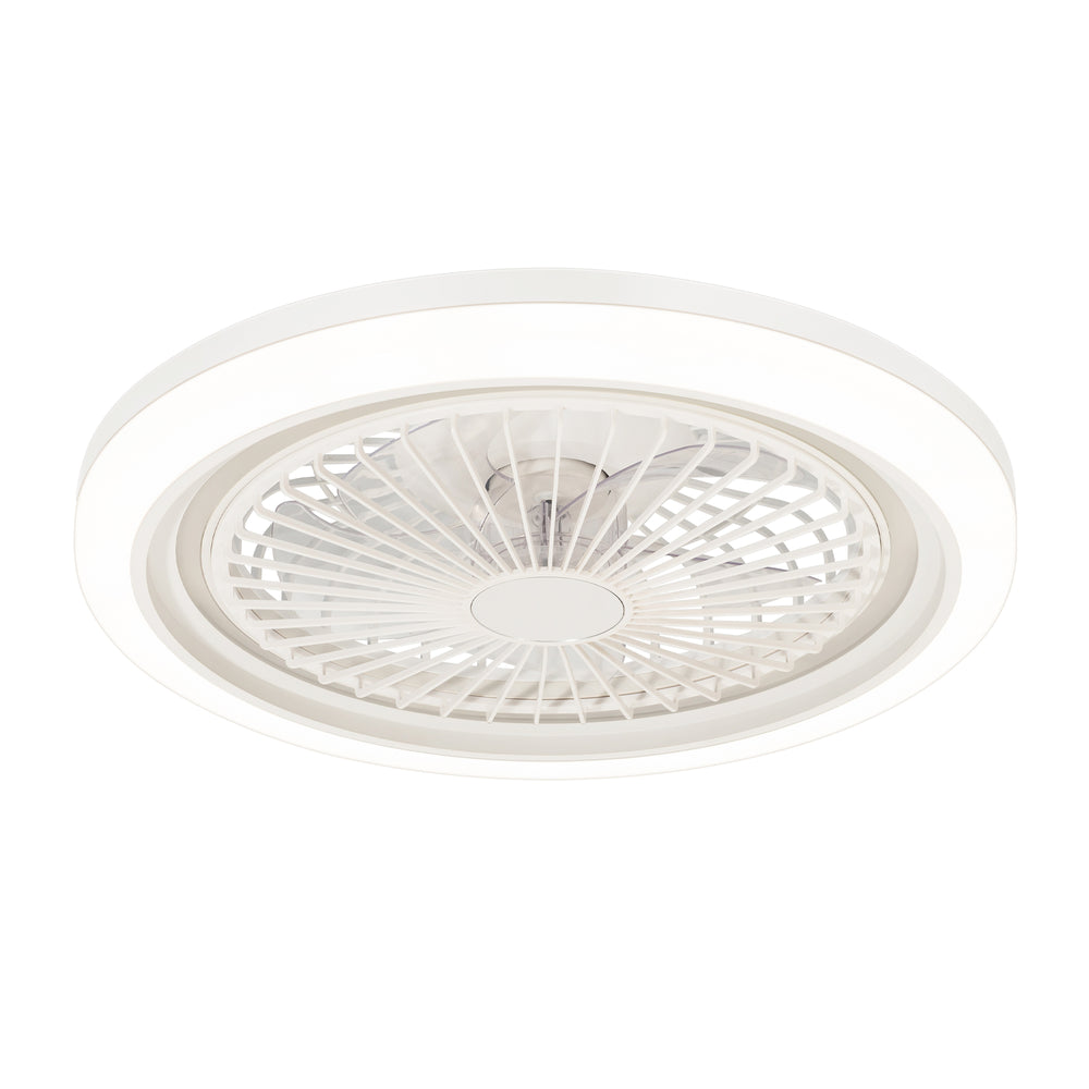 19-in Modern Smart RGB Flush Mount Ceiling Fan with Dimmable Light(5-Blade)