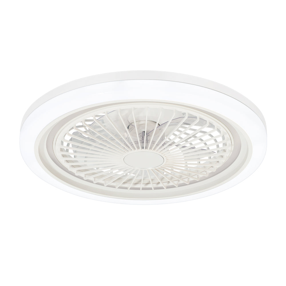 19-in Modern Smart RGB Flush Mount Ceiling Fan with Dimmable Light(5-Blade)