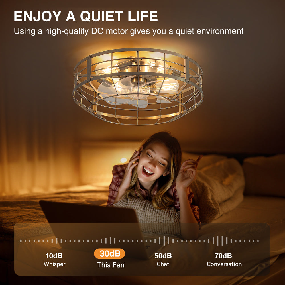 20" Caged Ceiling Fan with Lights, Quiet DC Motor, 6-Speed Remote Control, Reversible Flush Mount Fan, Satin Nickel Finish, Low Profile Bedroom Kitchen Fan