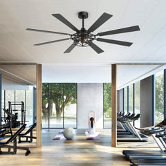 65” Ceiling Fan with Light, 8-Blade Ceiling Fan, Metal Cage Light Kit, Dual-Finish Plywood Blades, DC Motor, 6 Speeds, Remote Control, 2*E26 Bulbs Base, Downrod Mount, Modern Indoor Ceiling Fan for Living Room & Bedroom