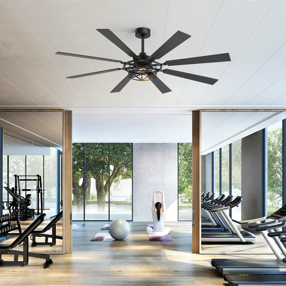 65” Ceiling Fan with Light, 8-Blade Ceiling Fan, Metal Cage Light Kit, Dual-Finish Plywood Blades, DC Motor, 6 Speeds, Remote Control, 2*E26 Bulbs Base, Downrod Mount, Modern Indoor Ceiling Fan for Living Room & Bedroom