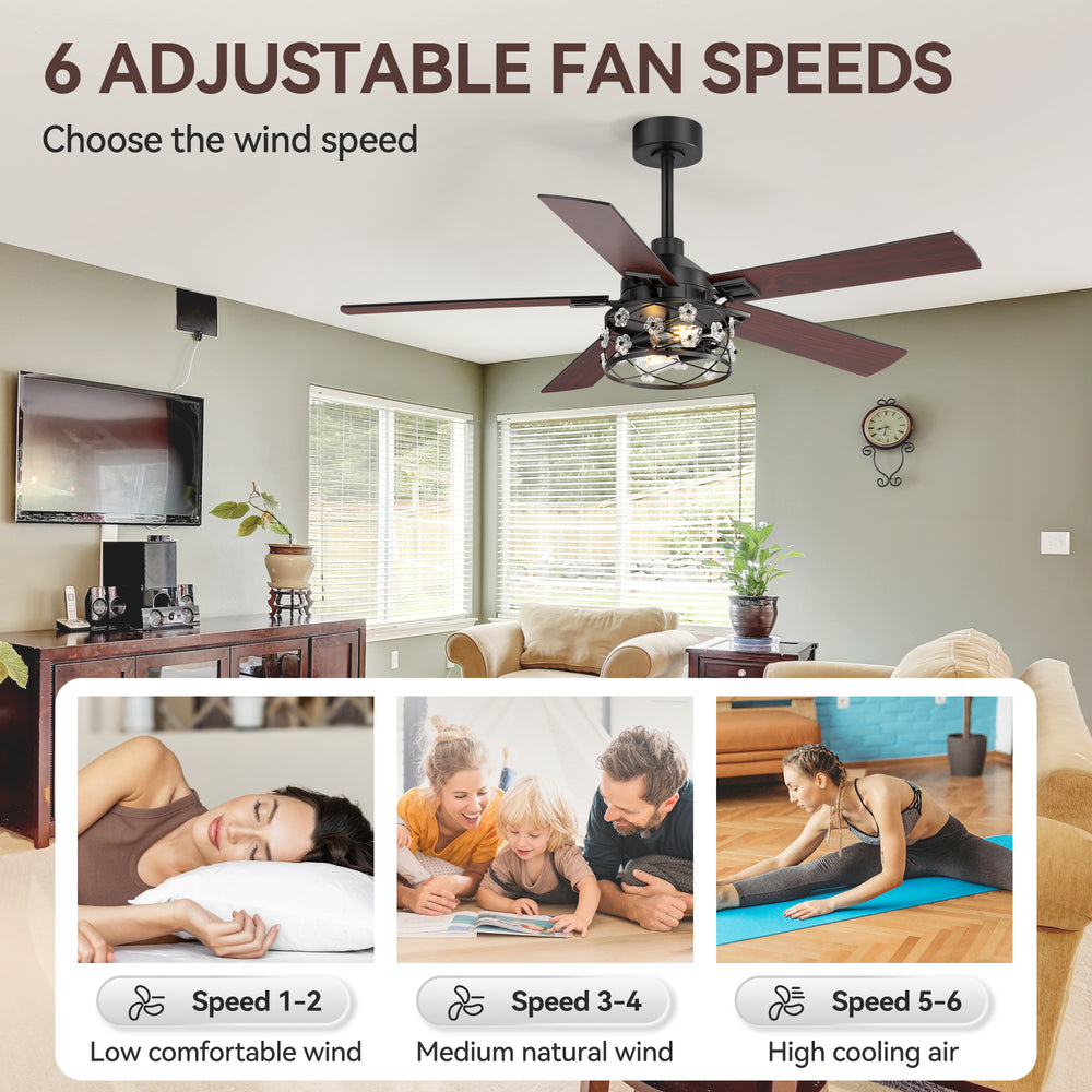 52-Inch Floral Glass Cage Ceiling Fan with Light and Remote – 5 Reversible Dual-Finish Blades, Quiet Energy-Saving DC Motor with 6 Speeds & Reversible Airflow, Includes 5" & 10" Downrods