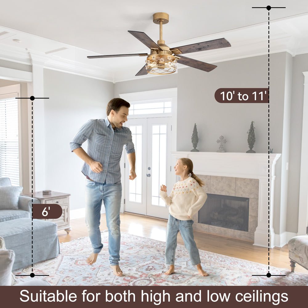 52-Inch Floral Glass Cage Ceiling Fan with Light and Remote – 5 Reversible Dual-Finish Blades, Quiet Energy-Saving DC Motor with 6 Speeds & Reversible Airflow, Includes 5" & 10" Downrods