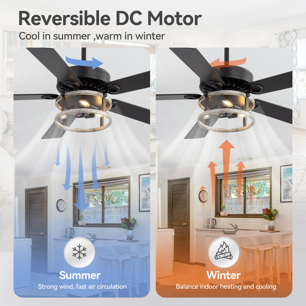 52-Inch Matte Black Industrial Ceiling Fan with Iron Cage Light, 5 Dual-Finish Reversible Plywood Blades, 28W Quiet DC Motor, 6 Speeds, Remote Control, Timer, Reversible Airflow, 5"&10" Downrods