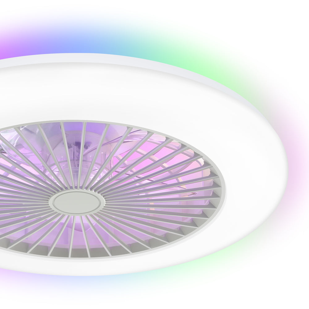 19 Inch Enclosed Low Profile RGB Ceiling Fan Works with Alexa/Google/APP