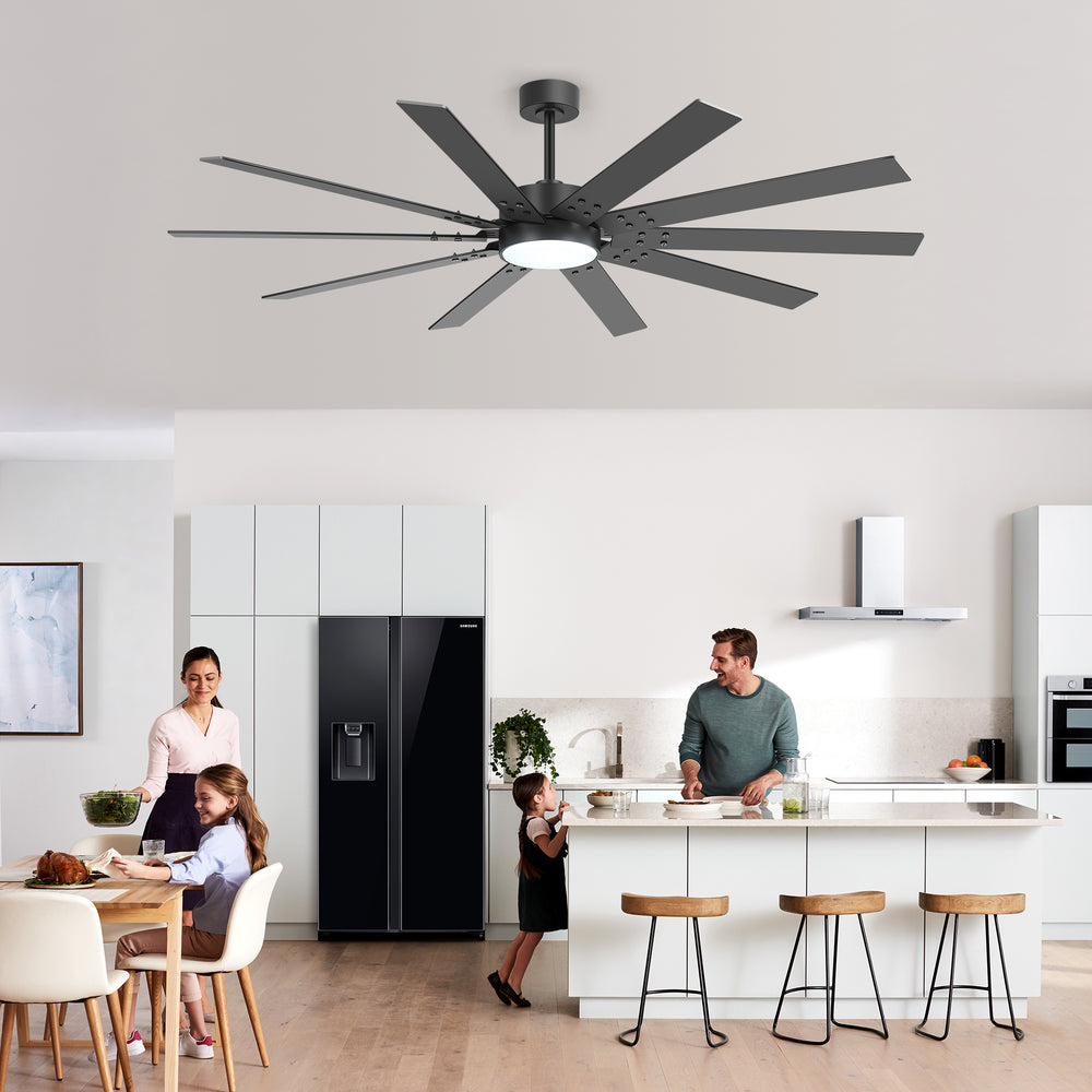 Breezary 72" 10-Blade Silent DC Motor Modern Ceiling Fan with 3-CCT LED Light (Memory Function)