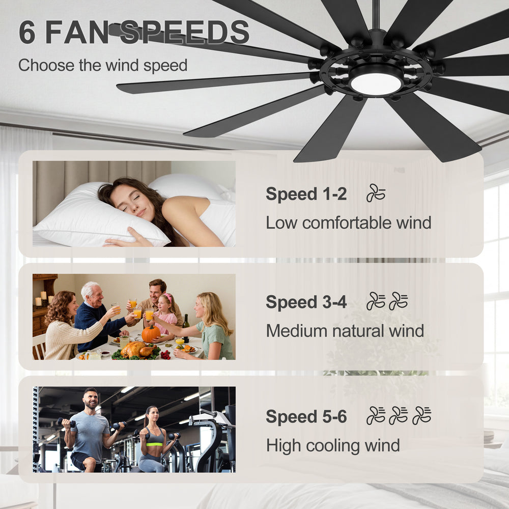 62/72-inch Large Ceiling Fan with Light and Remote, Reversible 10-Blade DC Motor Matte Black LED Ceiling Fan