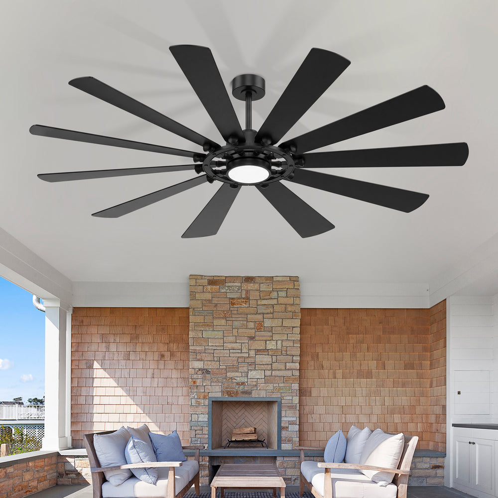62/72-inch Large Ceiling Fan with Light and Remote, Reversible 10-Blade DC Motor Matte Black LED Ceiling Fan
