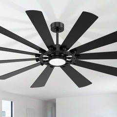 62/72-inch Large Ceiling Fan with Light and Remote, Reversible 10-Blade DC Motor Matte Black LED Ceiling Fan