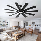 Novara 62/72 Inch 10-Blade Ceiling Fan With Light & Remote