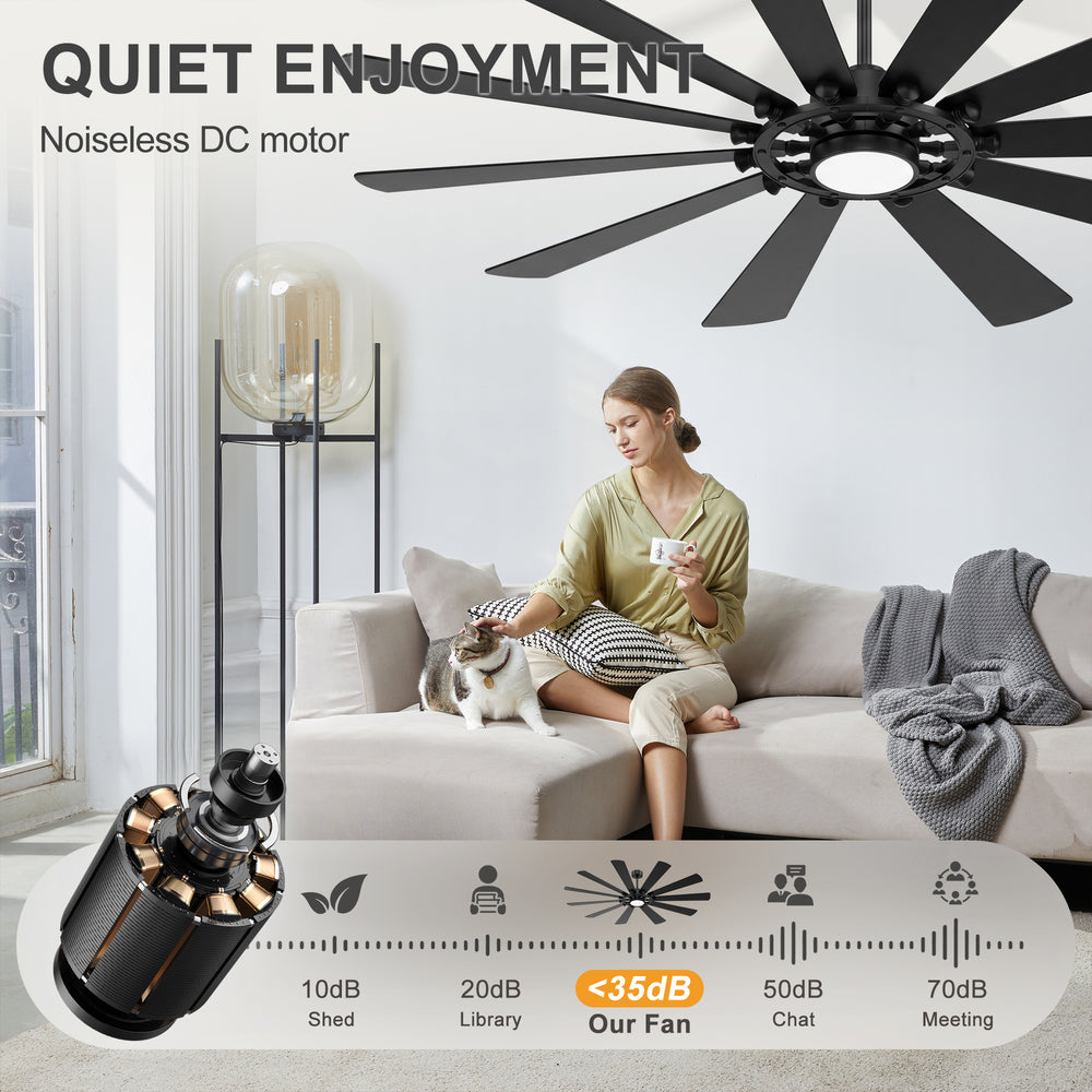 62/72-inch Large Ceiling Fan with Light and Remote, Reversible 10-Blade DC Motor Matte Black LED Ceiling Fan
