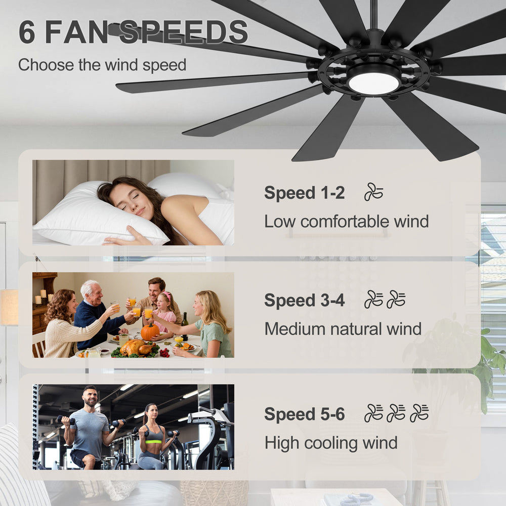62/72-inch Large Ceiling Fan with Light and Remote, Reversible 10-Blade DC Motor Matte Black LED Ceiling Fan