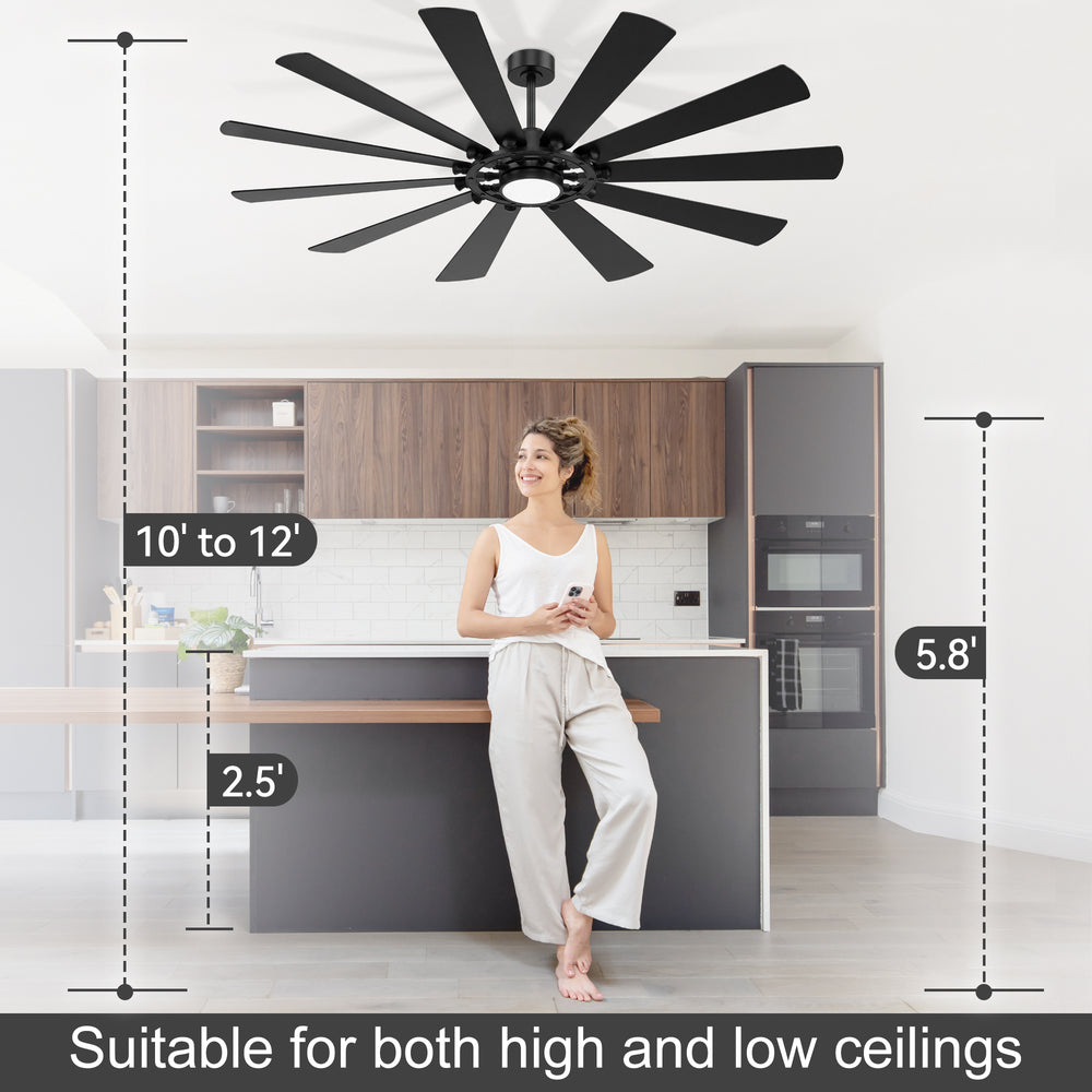 62/72-inch Large Ceiling Fan with Light and Remote, Reversible 10-Blade DC Motor Matte Black LED Ceiling Fan
