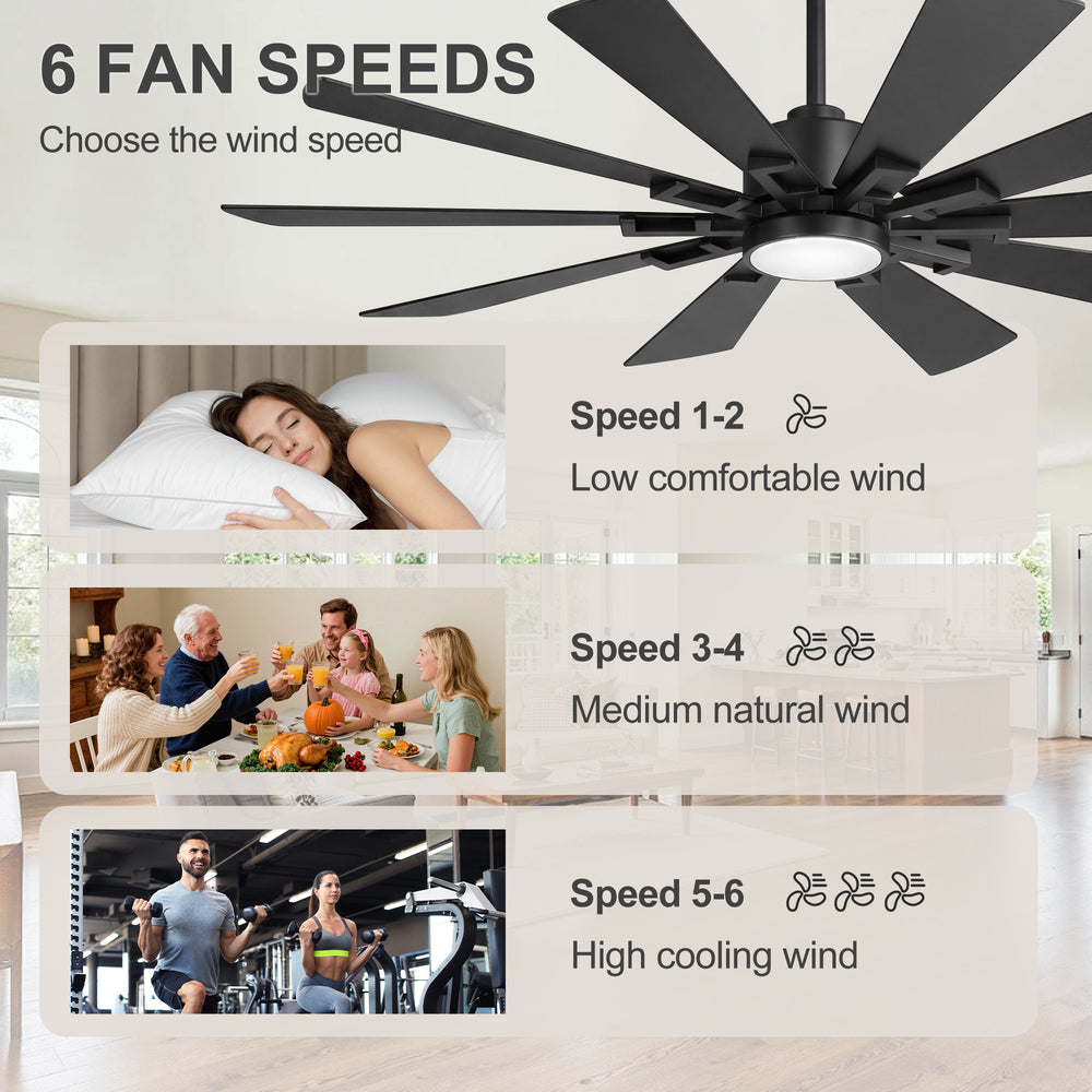 62/72-inch Large Ceiling Fan with 3CCT Light and Remote, 10-Blade Dual-Sided Blades Matte Black LED Ceiling Fan