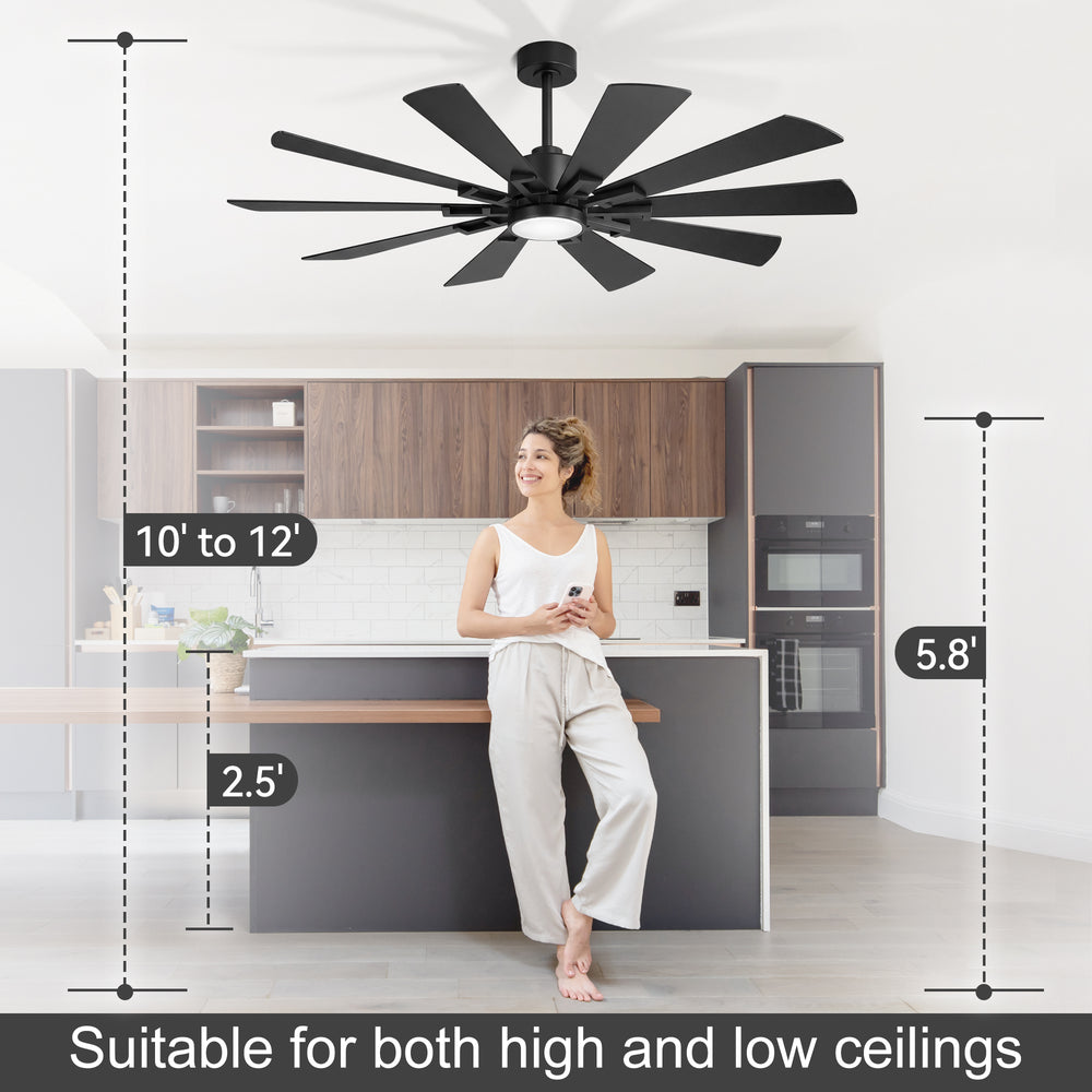 62/72-inch Large Ceiling Fan with 3CCT Light and Remote, 10-Blade Dual-Sided Blades Matte Black LED Ceiling Fan