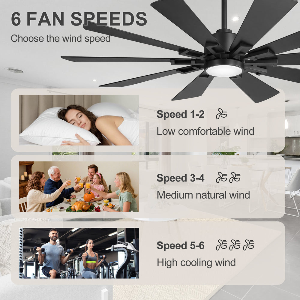 62/72-inch Large Ceiling Fan with 3CCT Light and Remote, 10-Blade Dual-Sided Blades Matte Black LED Ceiling Fan