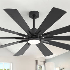 62/72-inch Large Ceiling Fan with 3CCT Light and Remote, Reversible 10-Blade Matte Black LED Ceiling Fan