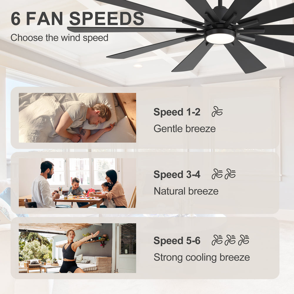 62/72-inch Large Ceiling Fan with 3CCT Light and Remote, Reversible 10-Blade Matte Black LED Ceiling Fan