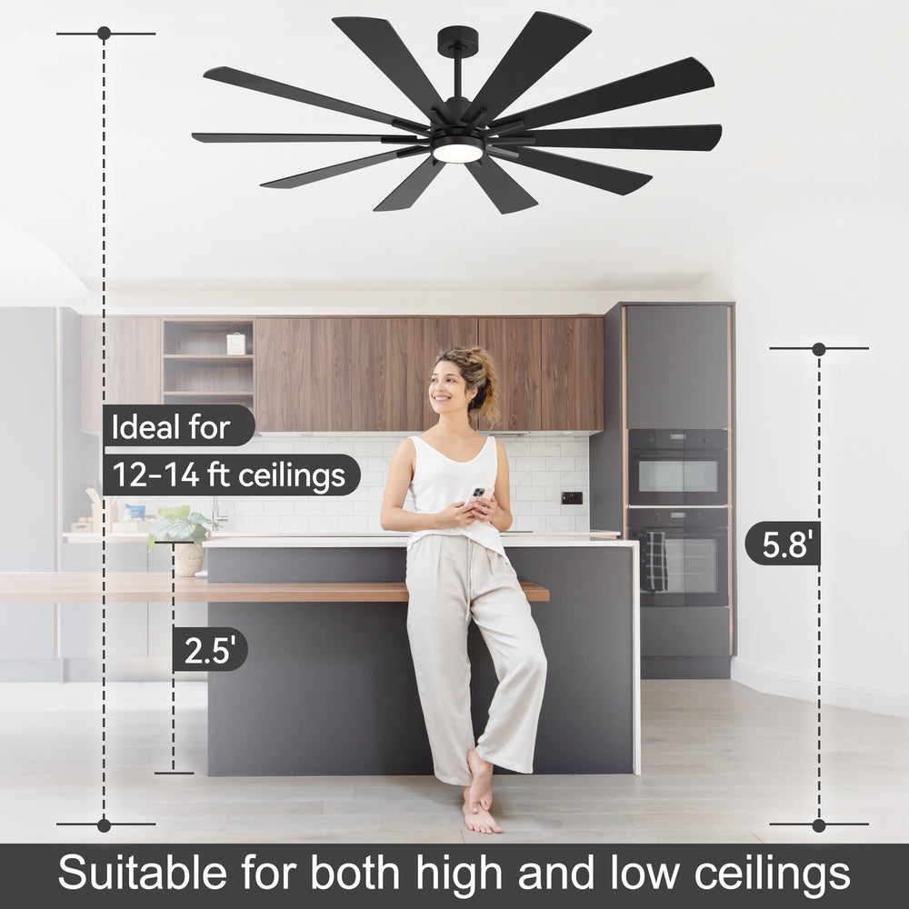 62/72-inch Large Ceiling Fan with 3CCT Light and Remote, Reversible 10-Blade Matte Black LED Ceiling Fan