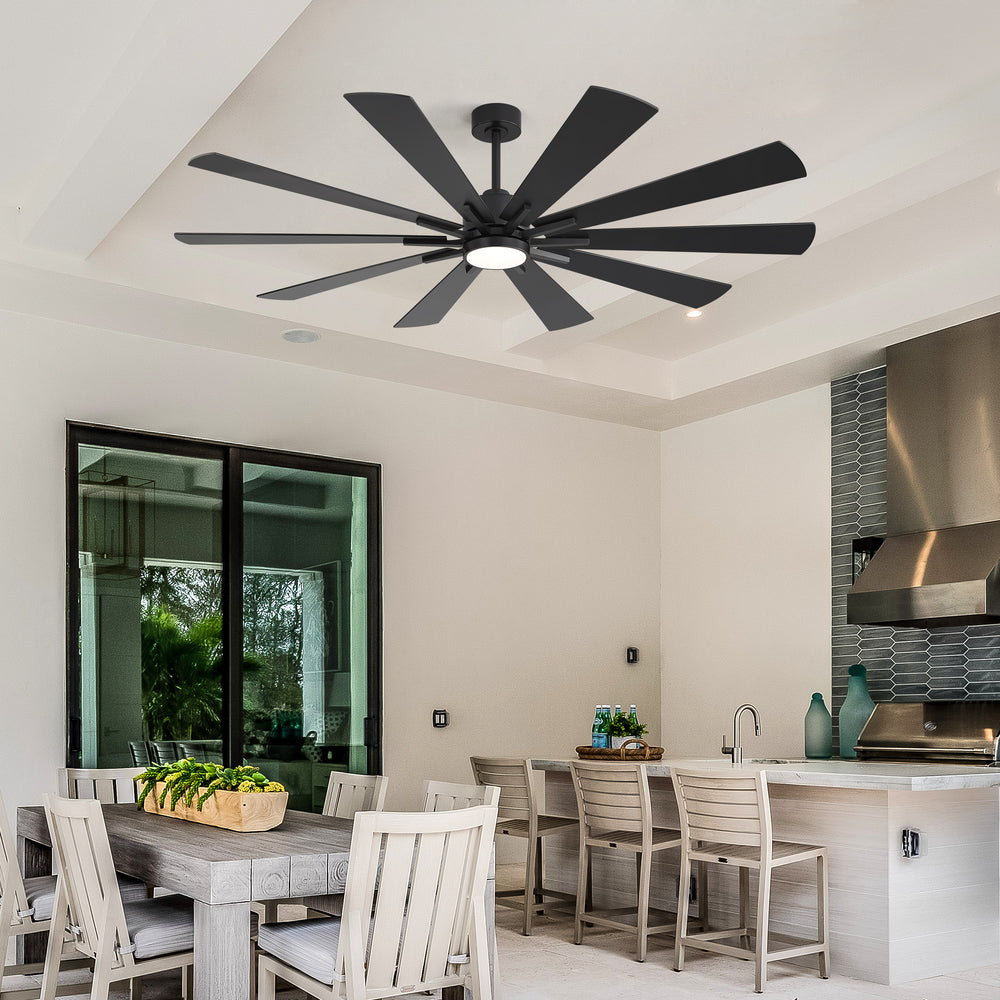62/72-inch Large Ceiling Fan with 3CCT Light and Remote, Reversible 10-Blade Matte Black LED Ceiling Fan