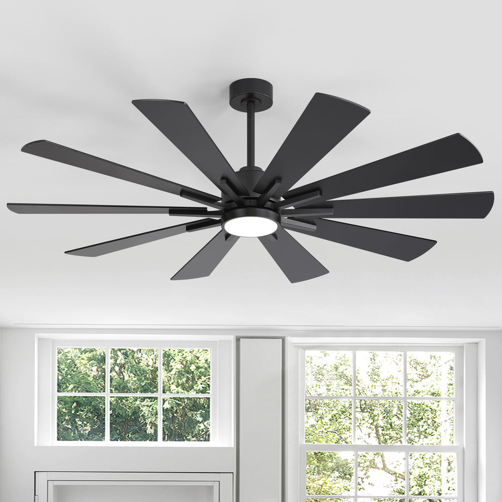 62/72-inch Large Ceiling Fan with 3CCT Light and Remote, Reversible 10-Blade Matte Black LED Ceiling Fan