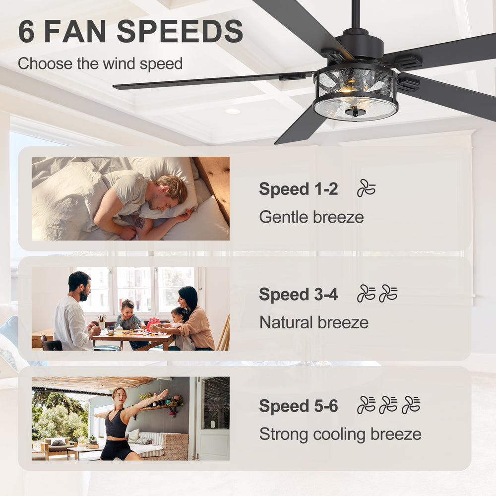 56 Inch Ceiling Fan with Light, Glass Shade, 5 Reversible Blades, DC Motor, Remote Control, 6 Speeds, Timer, Quiet Modern Ceiling Fan