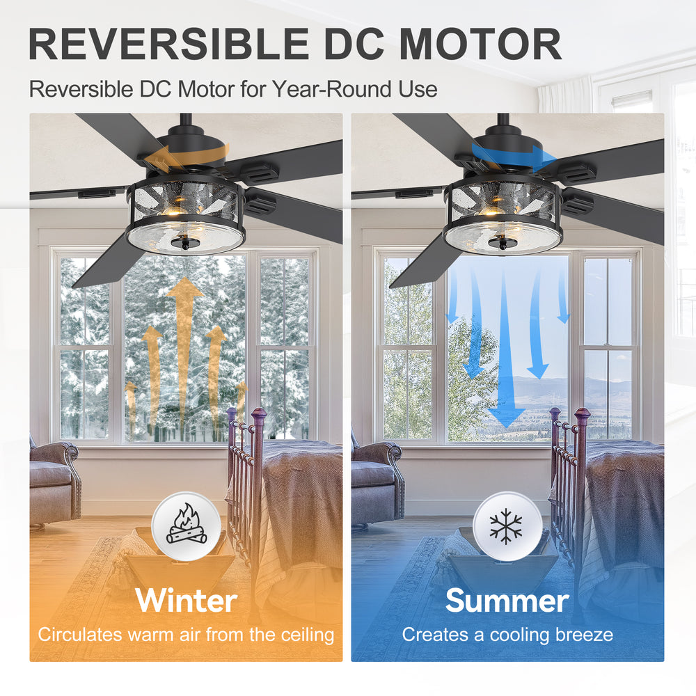 56 Inch Ceiling Fan with Light, Glass Shade, 5 Reversible Blades, DC Motor, Remote Control, 6 Speeds, Timer, Quiet Modern Ceiling Fan