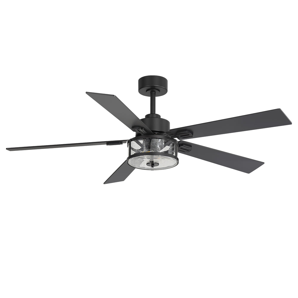 56 Inch Ceiling Fan with Light, Glass Shade, 5 Reversible Blades, DC Motor, Remote Control, 6 Speeds, Timer, Quiet Modern Ceiling Fan