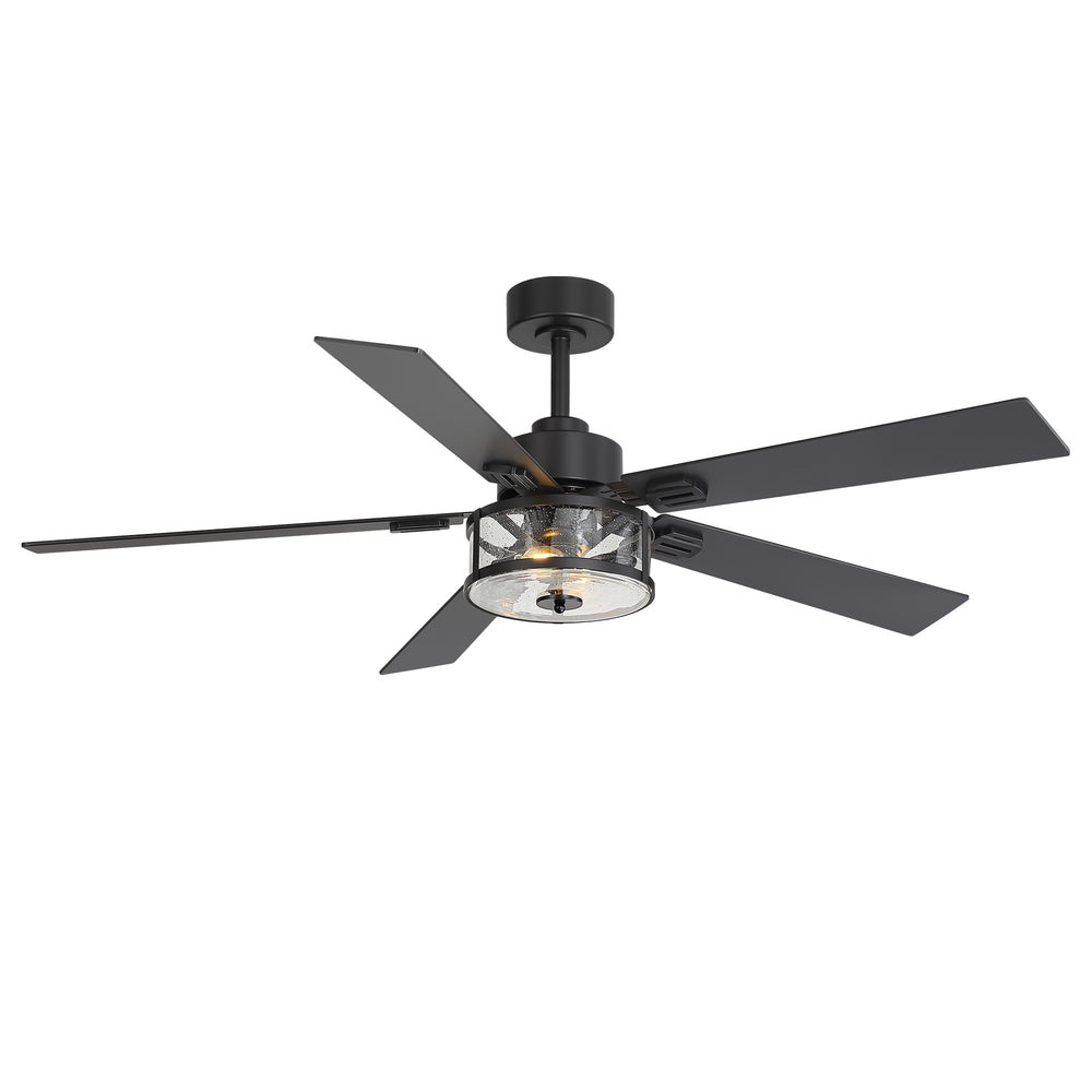 56 Inch Ceiling Fan with Light, Glass Shade, 5 Reversible Blades, DC Motor, Remote Control, 6 Speeds, Timer, Quiet Modern Ceiling Fan