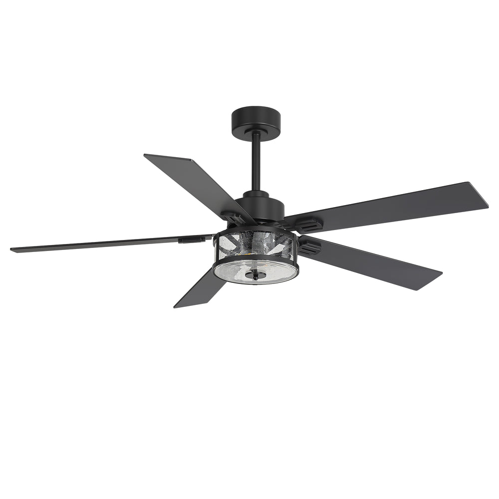 56 Inch Ceiling Fan with Light, Glass Shade, 5 Reversible Blades, DC Motor, Remote Control, 6 Speeds, Timer, Quiet Modern Ceiling Fan