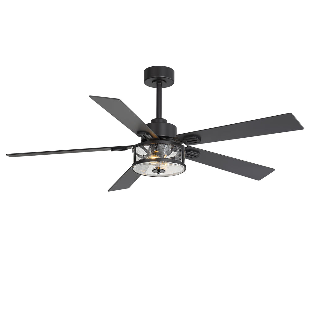 56 Inch Ceiling Fan with Light, Glass Shade, 5 Reversible Blades, DC Motor, Remote Control, 6 Speeds, Timer, Quiet Modern Ceiling Fan