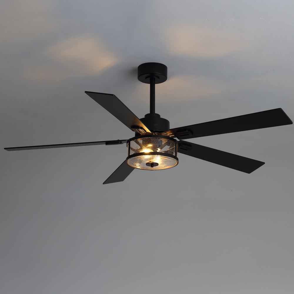 56 Inch Ceiling Fan with Light, Glass Shade, 5 Reversible Blades, DC Motor, Remote Control, 6 Speeds, Timer, Quiet Modern Ceiling Fan
