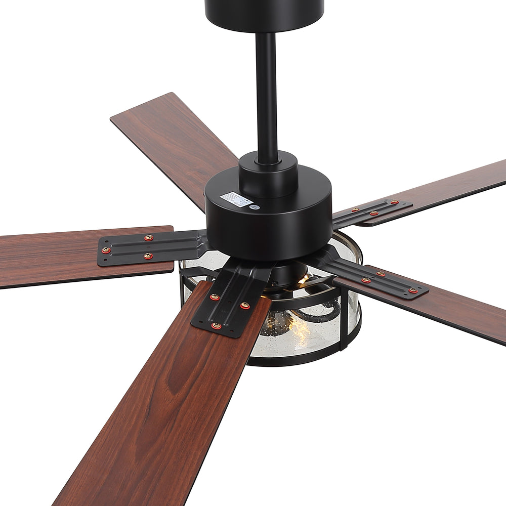 56 Inch Ceiling Fan with Light, Glass Shade, 5 Reversible Blades, DC Motor, Remote Control, 6 Speeds, Timer, Quiet Modern Ceiling Fan