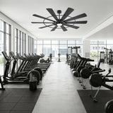Pavara 62/72 Inch Ceiling Fan With Light and Remote