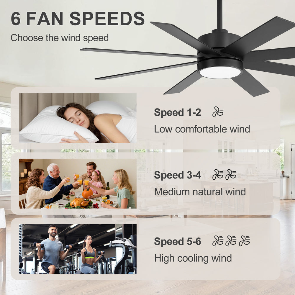 52-inch Matte Black Ceiling Fan with LED Light, Silent DC Motor, 8 Reversible Blades, 3 CCT, Remote Control