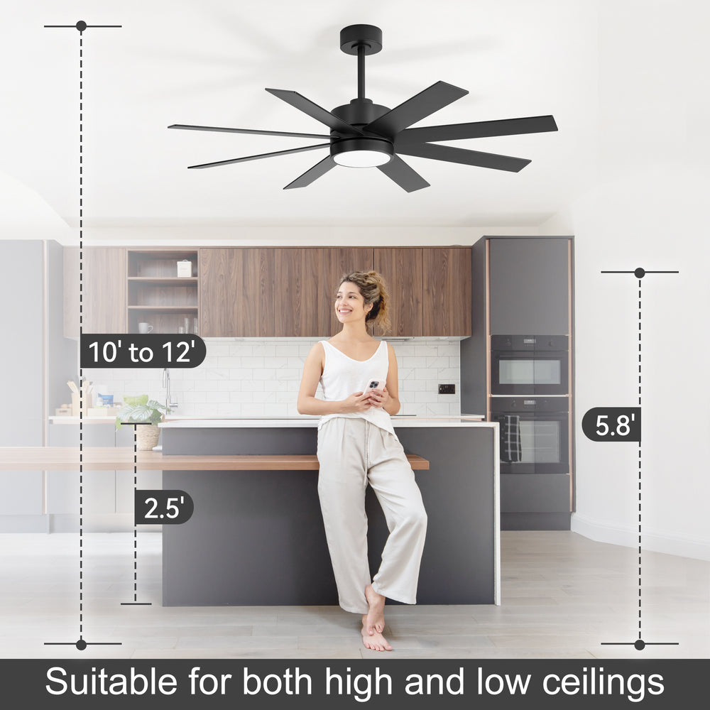 52-inch Matte Black Ceiling Fan with LED Light, Silent DC Motor, 8 Reversible Blades, 3 CCT, Remote Control