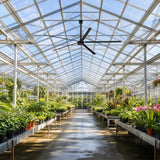 AeroVault 12 FT HVLS industrial ceiling fan providing air circulation in a large commercial greenhouse filled with plants.