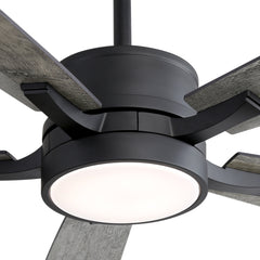 Debra 65 in. Integrated LED Indoor Black Ceiling Fans with Light and Remote Control