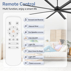 29010-remote with reciever