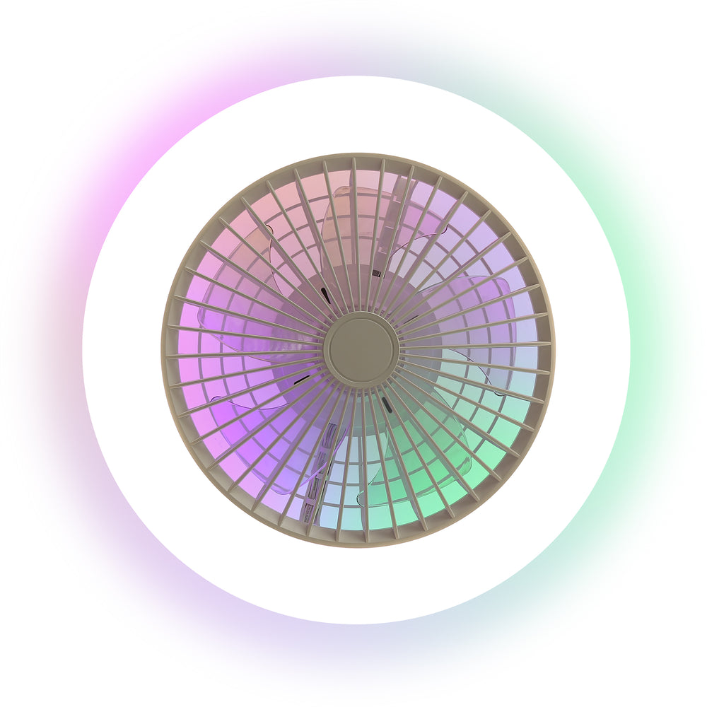 19 Inch Enclosed Low Profile RGB Ceiling Fan Works with Alexa/Google/APP