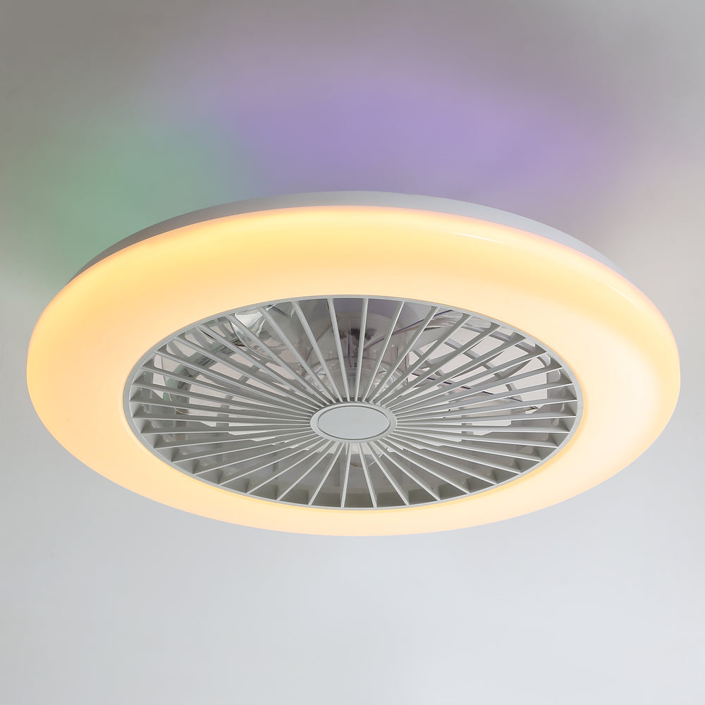 19 Inch Enclosed Low Profile RGB Ceiling Fan Works with Alexa/Google/APP